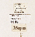  ( - NHMW2.Lep.0146)  @11 [ ] Unspecified (default): All Rights Reserved (2025) P. Huemer Unspecified