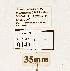  ( - NHMW2.Lep.0149)  @11 [ ] Unspecified (default): All Rights Reserved (2025) P. Huemer Unspecified