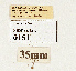  ( - NHMW2.Lep.0151)  @11 [ ] Unspecified (default): All Rights Reserved (2025) P. Huemer Unspecified