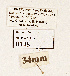  ( - NHMW2.Lep.0148)  @11 [ ] Unspecified (default): All Rights Reserved (2025) P. Huemer Unspecified