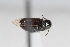  ( - ABOL-24-1000)  @11 [ ] Unspecified (default): All Rights Reserved (2024) Sebastian Ploner Unspecified