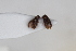  ( - ABOL-24-1010)  @11 [ ] Unspecified (default): All Rights Reserved (2024) Sebastian Ploner Unspecified
