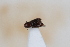  ( - ABOL-24-1011)  @11 [ ] Unspecified (default): All Rights Reserved (2024) Sebastian Ploner Unspecified