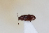  ( - ABOL-24-1014)  @11 [ ] Unspecified (default): All Rights Reserved (2024) Sebastian Ploner Unspecified