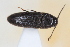  ( - ABOL-24-1021)  @11 [ ] Unspecified (default): All Rights Reserved (2024) Sebastian Ploner Unspecified