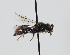  ( - ABOL-BioBlitz 2020 HT20_S023)  @11 [ ] CC-BY-SA (2020) Schoder, Sabine Naturhistorisches Museum Wien