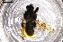  ( - IC-24-MAL04)  @11 [ ] Unspecified (default): All Rights Reserved (2024) Natural history museum Vienna Natural history museum Vienna