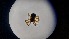  ( - ABOL-24-1341)  @11 [ ] Unspecified (default): All Rights Reserved (2025) Johannes Schall Unspecified