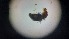  ( - ABOL-24-1355)  @11 [ ] Unspecified (default): All Rights Reserved (2025) Johannes Schall Unspecified