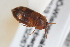  ( - ABOL-24-0965)  @11 [ ] Unspecified (default): All Rights Reserved (2024) Sebastian Ploner Unspecified