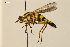  ( - NF-24-013)  @11 [ ] Unspecified (default): All Rights Reserved (2024) Natural history museum Vienna Unspecified