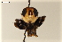  ( - NF-24-017)  @11 [ ] Unspecified (default): All Rights Reserved (2024) Natural history museum Vienna Unspecified