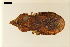  ( - NF-24-029)  @11 [ ] Unspecified (default): All Rights Reserved (2024) Natural history museum Vienna Unspecified