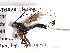  ( - ABOL-24-1631)  @11 [ ] Unspecified (default): All Rights Reserved (2024) Natural history museum Vienna Unspecified