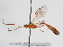  ( - ABOL-24-1645)  @11 [ ] Unspecified (default): All Rights Reserved (2024) Natural history museum Vienna Unspecified