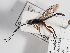  ( - ABOL-24-1646)  @11 [ ] Unspecified (default): All Rights Reserved (2024) Natural history museum Vienna Unspecified