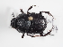  ( - ABOL-25-0576)  @11 [ ] CC-BY (2025) Naturhistorisches Museum Wien Unspecified