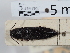  ( - ABOL-24-1540)  @11 [ ] Unspecified (default): All Rights Reserved (2024) Naturhistorisches Museum Wien Naturhistorisches Museum Wien