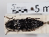 ( - ABOL-24-1620)  @11 [ ] Unspecified (default): All Rights Reserved (2024) Naturhistorisches Museum Wien Naturhistorisches Museum Wien