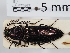  ( - ABOL-24-1680)  @11 [ ] Unspecified (default): All Rights Reserved (2024) Naturhistorisches Museum Wien Naturhistorisches Museum Wien
