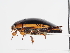  ( - ABOL-24-0069)  @11 [ ] Unspecified (default): All Rights Reserved (2024) Natural history museum Vienna Unspecified