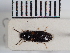  ( - ABOL-25-0294)  @11 [ ] Unspecified (default): All Rights Reserved (2025) Naturhistorisches Museum Wien Unspecified