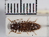  ( - ABOL-25-0297)  @11 [ ] Unspecified (default): All Rights Reserved (2025) Naturhistorisches Museum Wien Unspecified