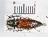  ( - ABOL-25-0233)  @11 [ ] Unspecified (default): All Rights Reserved (2025) Naturhistorisches Museum Wien Unspecified