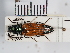  ( - ABOL-25-0234)  @11 [ ] Unspecified (default): All Rights Reserved (2025) Naturhistorisches Museum Wien Unspecified
