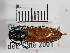  ( - ABOL-25-0237)  @11 [ ] Unspecified (default): All Rights Reserved (2025) Naturhistorisches Museum Wien Unspecified