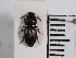  ( - ABOL-25-0211)  @11 [ ] Unspecified (default): All Rights Reserved (2025) Naturhistorisches Museum Wien Unspecified