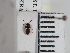  ( - ABOL-25-0214)  @11 [ ] Unspecified (default): All Rights Reserved (2025) Naturhistorisches Museum Wien Unspecified