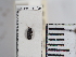  ( - ABOL-25-0216)  @11 [ ] Unspecified (default): All Rights Reserved (2025) Naturhistorisches Museum Wien Unspecified