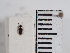  ( - ABOL-25-0219)  @11 [ ] Unspecified (default): All Rights Reserved (2025) Naturhistorisches Museum Wien Unspecified