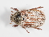  ( - ABOL-25-0535)  @11 [ ] CC-BY (2025) Naturhistorisches Museum Wien Unspecified