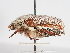  ( - ABOL-25-0535)  @11 [ ] CC-BY (2025) Naturhistorisches Museum Wien Unspecified