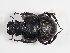  ( - ABOL-25-0553)  @11 [ ] CC-BY (2025) Naturhistorisches Museum Wien Unspecified