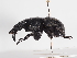  ( - ABOL-25-0553)  @11 [ ] CC-BY (2025) Naturhistorisches Museum Wien Unspecified