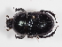  ( - ABOL-25-0525)  @11 [ ] CC-BY (2025) Naturhistorisches Museum Wien Unspecified