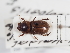  ( - ABOL-25-0661)  @11 [ ] CC-BY (2025) Naturhistorisches Museum Wien Unspecified