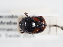  ( - ABOL-25-0579)  @11 [ ] CC-BY (2025) Naturhistorisches Museum Wien Unspecified