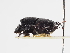  ( - ABOL-25-0615)  @11 [ ] CC-BY (2025) Naturhistorisches Museum Wien Unspecified