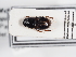  ( - ABOL-25-0585)  @11 [ ] Unspecified (default): All Rights Reserved (2025) Naturhistorisches Museum Wien Unspecified