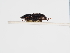  ( - ABOL-25-0585)  @11 [ ] Unspecified (default): All Rights Reserved (2025) Naturhistorisches Museum Wien Unspecified