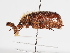  ( - ABOL-25-0625)  @11 [ ] CC-BY (2025) Naturhistorisches Museum Wien Unspecified