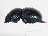  ( - ABOL-25-0642)  @11 [ ] Unspecified (default): All Rights Reserved (2025) Naturhistorisches Museum Wien Unspecified