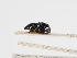  ( - ABOL-25-0521)  @11 [ ] CC-BY (2025) Naturhistorisches Museum Wien Unspecified