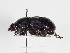  ( - ABOL-25-0605)  @11 [ ] CC-BY (2025) Naturhistorisches Museum Wien Unspecified