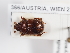  ( - ABOL-25-0657)  @11 [ ] Unspecified (default): All Rights Reserved (2025) Naturhistorisches Museum Wien Unspecified