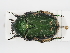  ( - ABOL-24-1805)  @11 [ ] Unspecified (default): All Rights Reserved (2024) Naturhistorisches Museum Wien Naturhistorisches Museum Wien